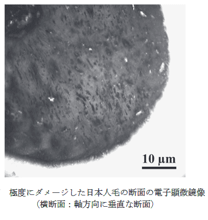 カラーリングをすると髪はどう傷む 論文からまとめ